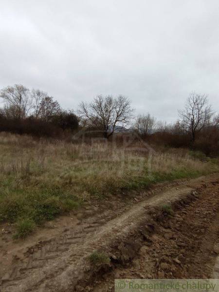 The image shows agricultural and forest land with a road and overgrown grass.