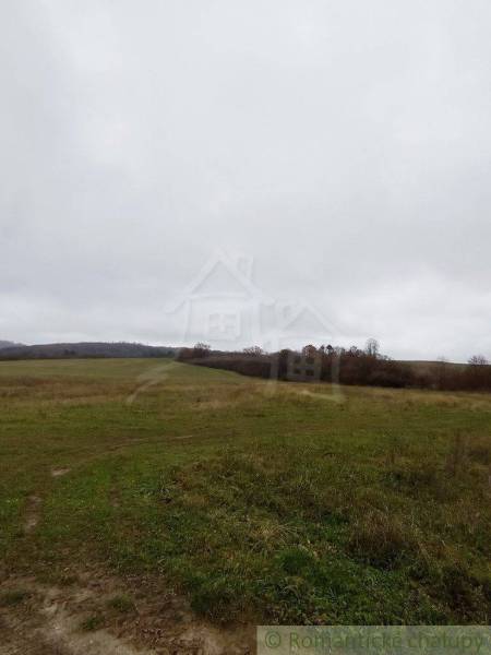 Flat agricultural lands under a cloudy sky with a forest in the distance.