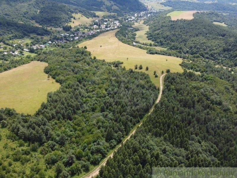 An aerial view of vast green forests and meadows, with a winding road snaking through them.
