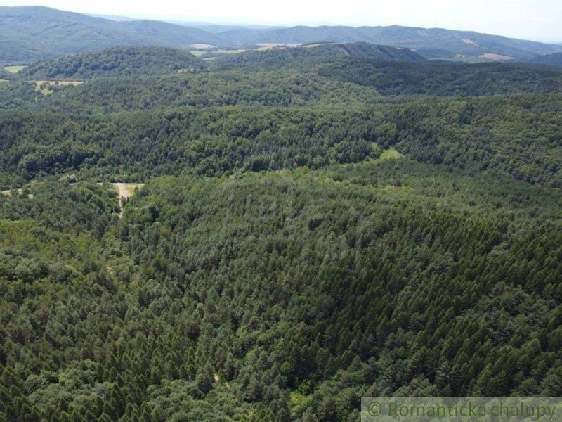 Mountain landscape with dense forests, scenery surrounded by nature and beautiful gardens.