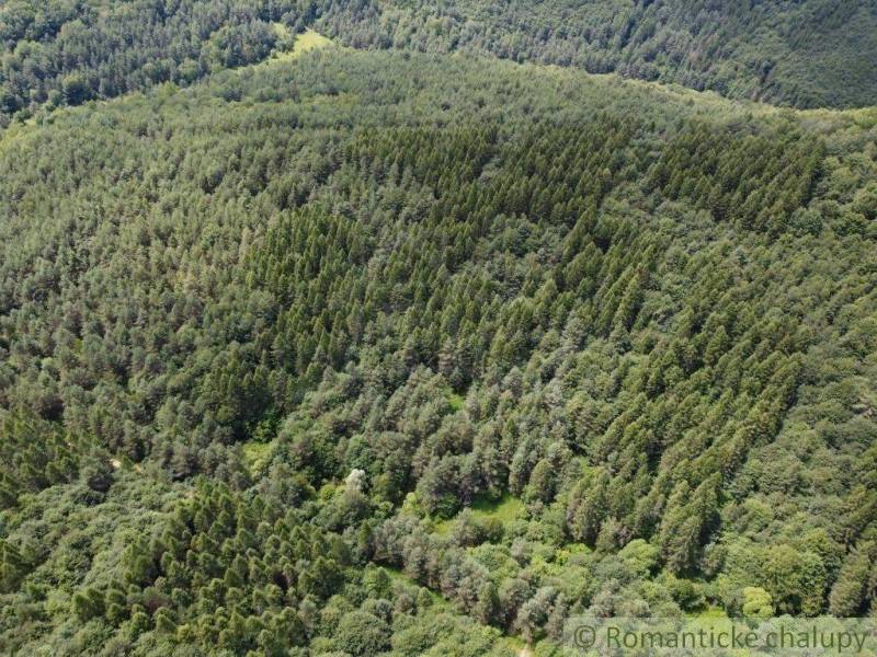 Aerial view of green forests and dense gardens offering a serene natural scenery.
