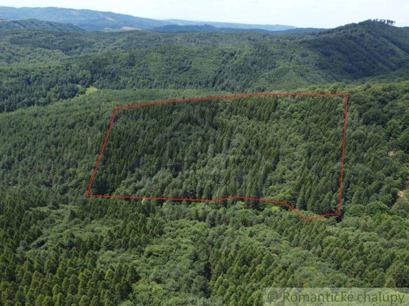 Aerial view of a forest landscape with a marked plot and nearby forests and gardens.