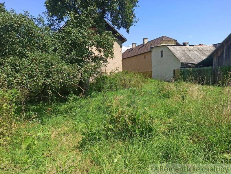 Overgrown plot with a fruit tree, ideal for living in a quiet location.