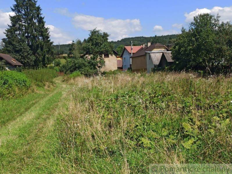 Rural living with a grassy plot, surrounded by trees and small houses in the village.