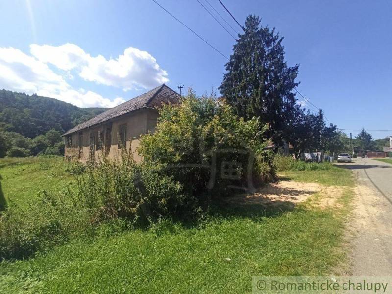 Old house by the road surrounded by greenery, suitable for living on a plot in nature.