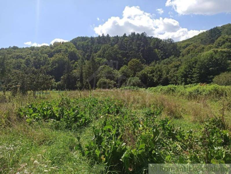 A meadow with a forest in the background, ideal for land and living in nature.