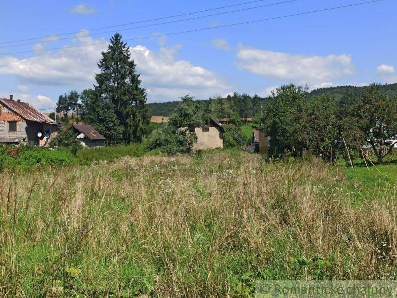 A rural plot with older houses and surrounding greenery for living and development.
