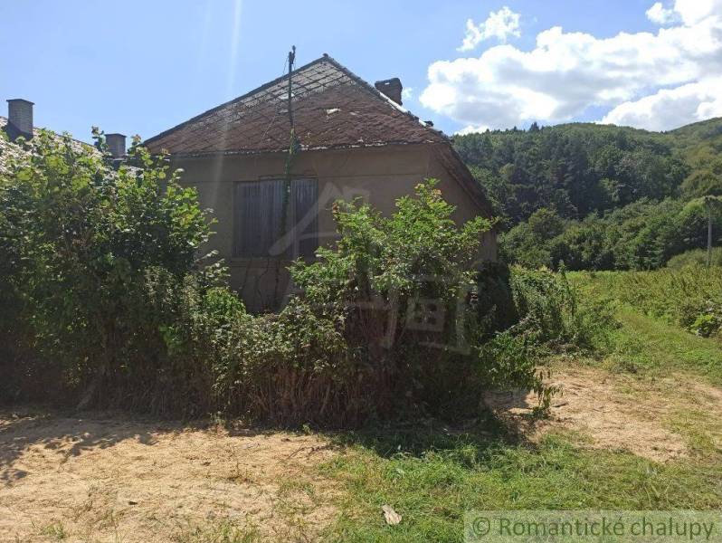 An old cottage with a collapsed roof surrounded by greenery in a peaceful setting on the grounds.