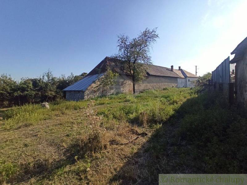 An older family house in the village, surrounded by a large grassy garden and a tree.