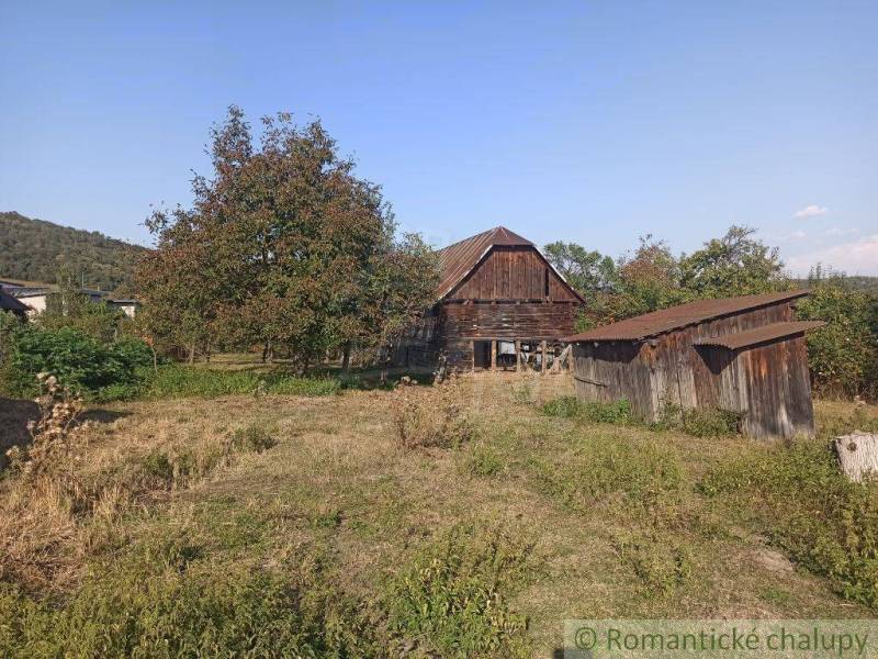 Garden, old wooden family house, two wooden structures, fruit tree, countryside.