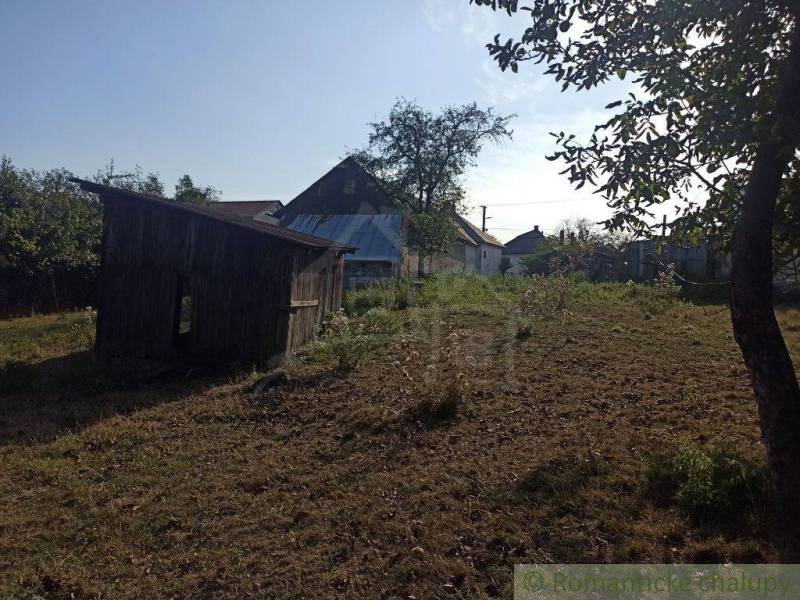In the picture, there is a garden with a wooden cabin, trees, and a visible family house in the background.