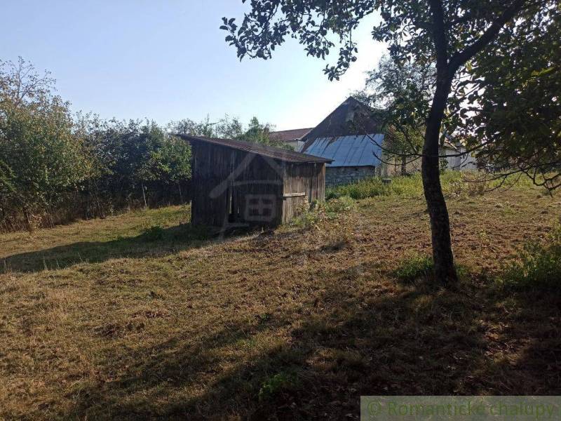 A garden with an old wooden structure, surrounded by greenery and a family house in the background.