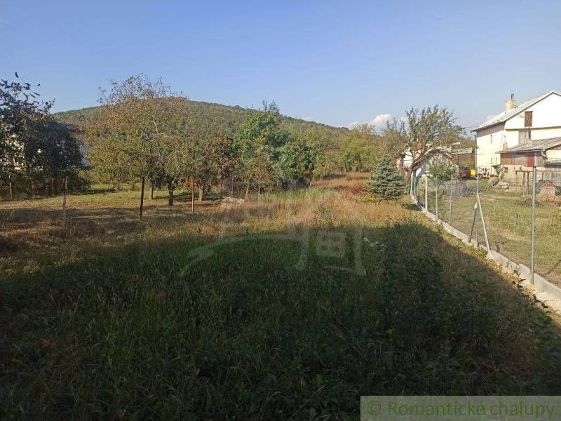 A garden with fruit trees in the background, next to a family house, paved path, fencing.