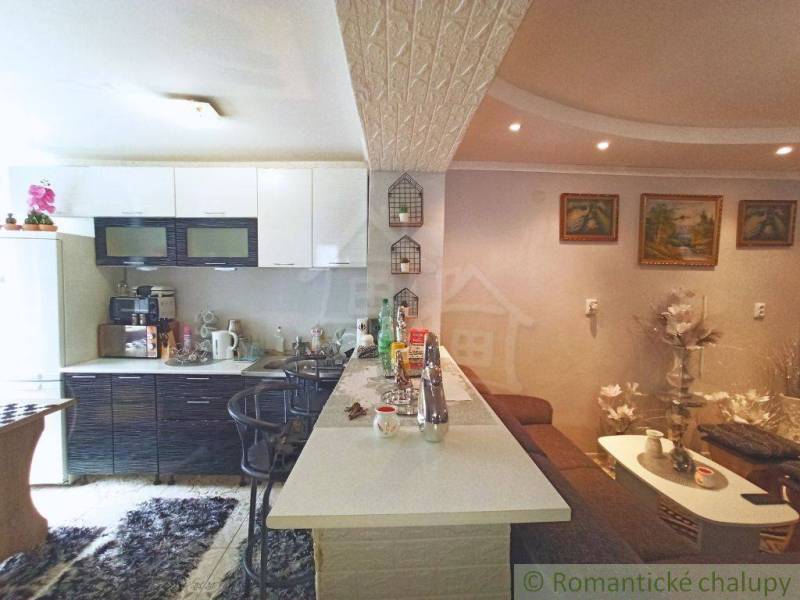 The family house has a cozy kitchen with a bar counter, complemented by decorations and paintings.