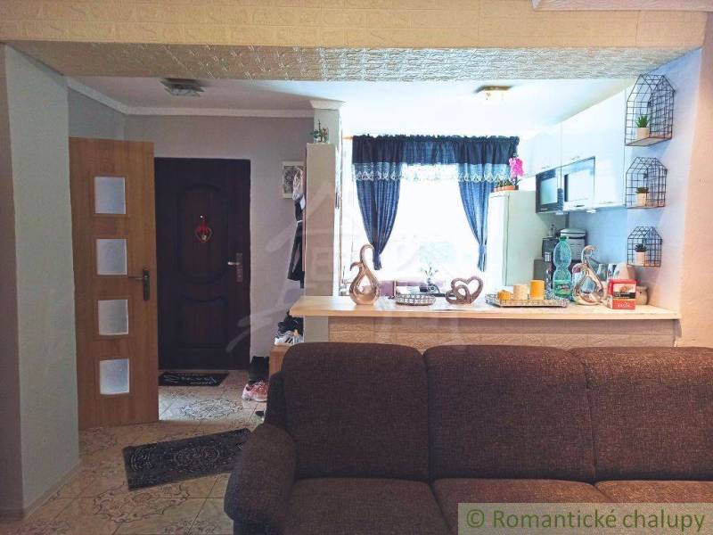 Living room with a sofa, kitchen, doors, and a family house with a cozy interior.