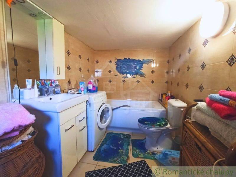 Bathroom and family house with a bathtub, washing machine, and blue decoration on the wall.