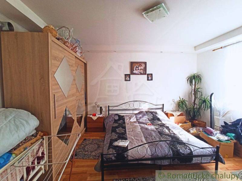 Bedroom in a family house with a bed, wardrobe, and plant, wooden floor.