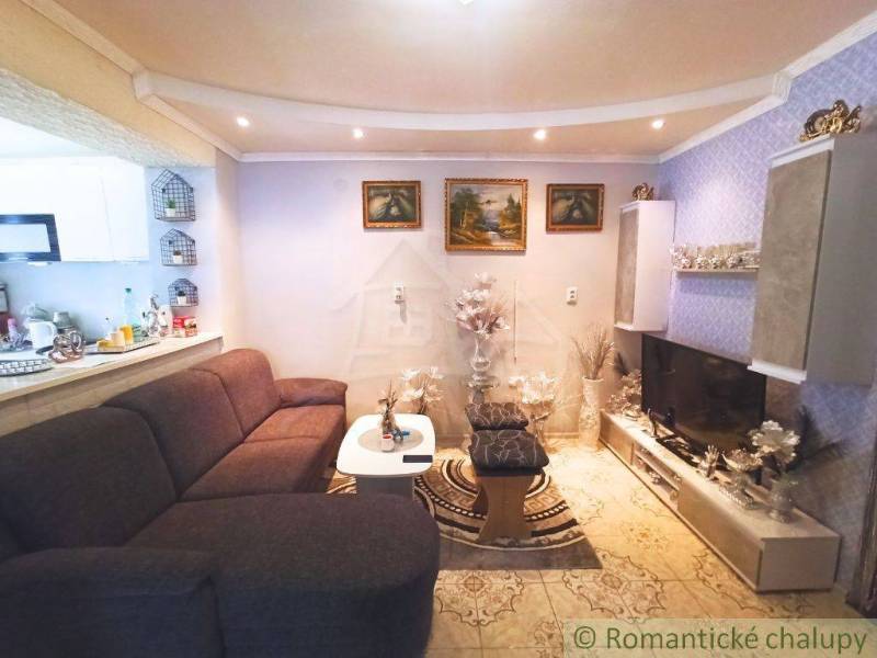 Living room of a family house with a comfortable sofa, television, and decorative details.