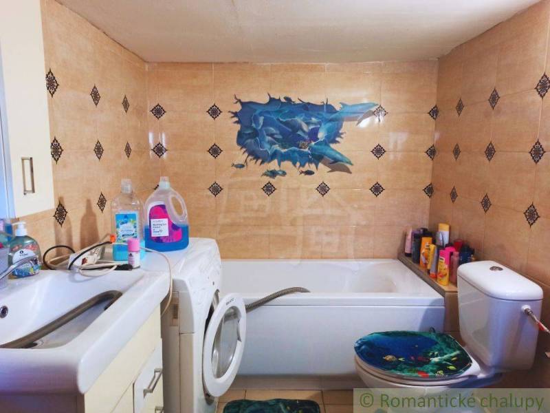 The family house has a bathroom with a bathtub, a washing machine, a sink, and wall decorations.