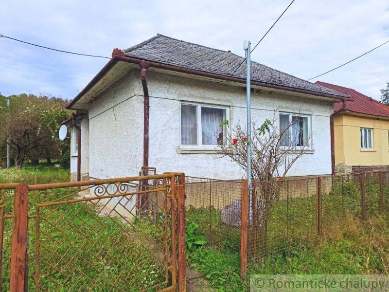 A classic cottage by the house with a small garden behind the fence and a blooming bush.