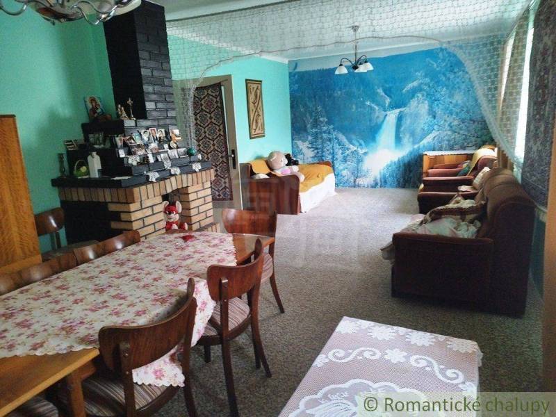 Interior of a family house with a fireplace, a convertible sofa, and nature wall decoration.