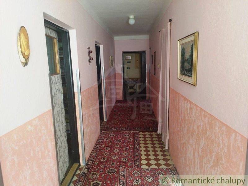 A narrow hallway in a family house with carpet, paintings, and pink walls.