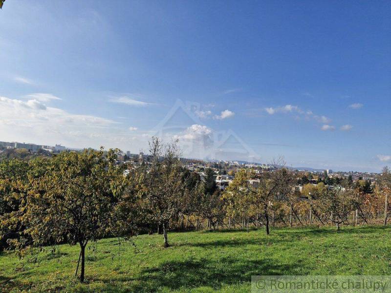 Gardens with fruit trees on a hill, with a view of the city in the background.