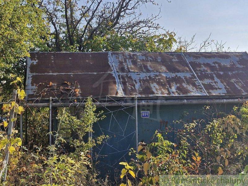 An abandoned cottage with a rusty roof surrounded by dense greenery and a garden of trees.