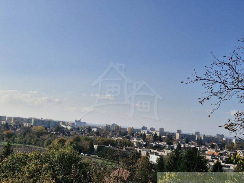 A view of the city skyline through green gardens and parks with buildings on the horizon.