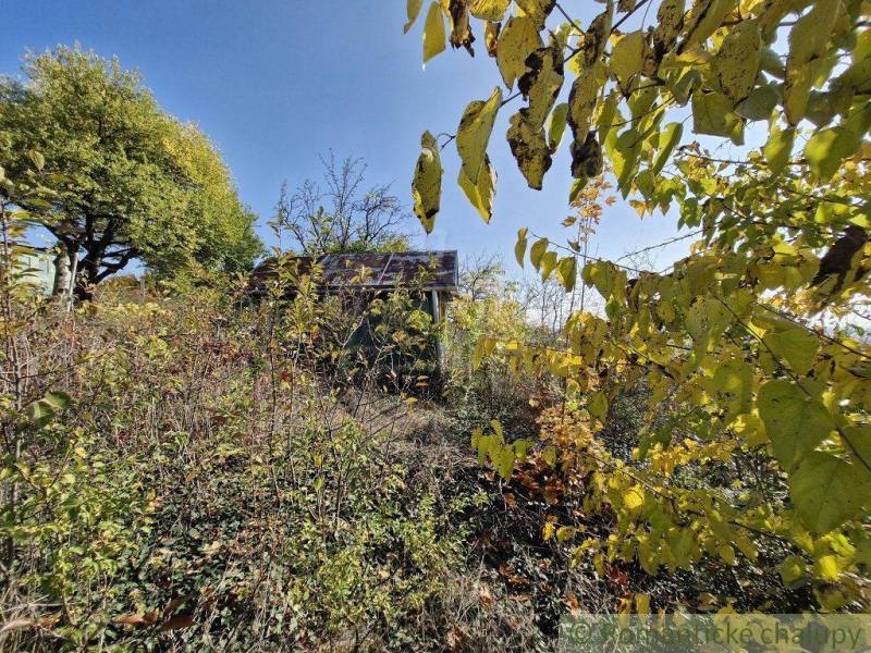 A house surrounded by lush greenery and trees, ideal for natural gardens.