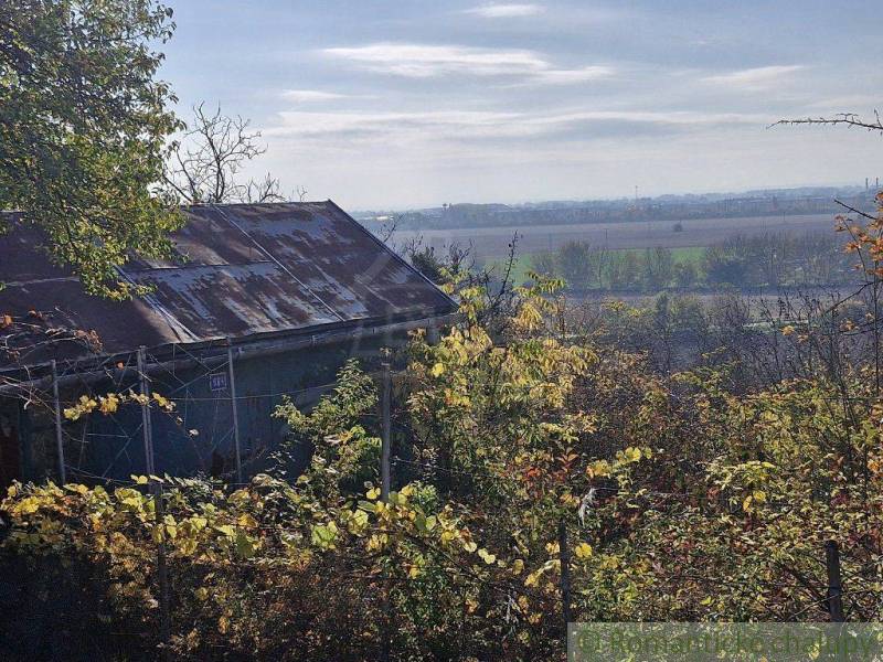 An old country house surrounded by autumn greenery in a sunny garden.