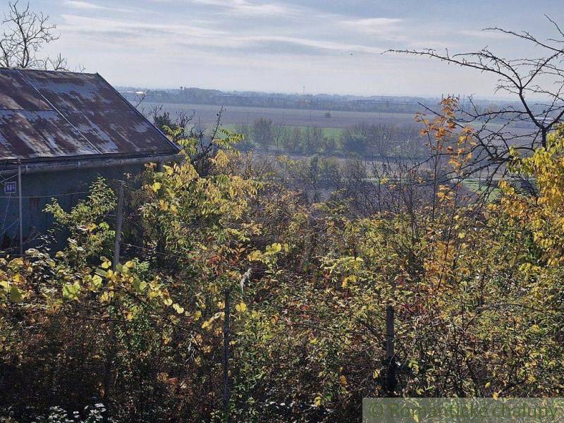 An overgrown garden with an old building, autumn landscape, view of fields and gardens.