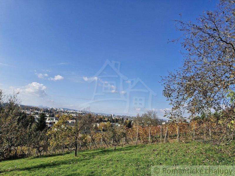 Expansive gardens with a view of the city and blue skies, surrounded by nature.