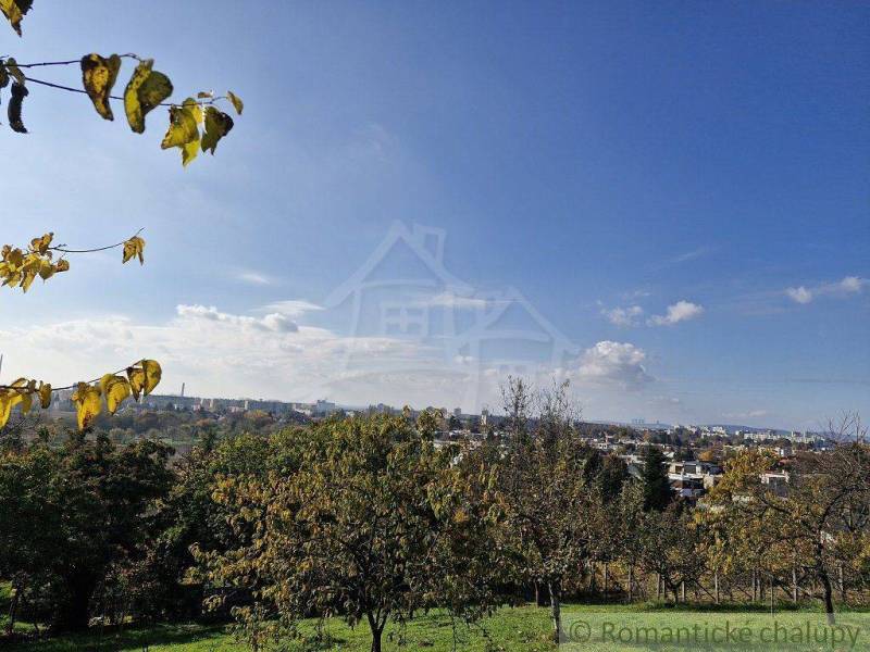 A view of the landscape with trees and a city in the background, blue sky. Gardens.