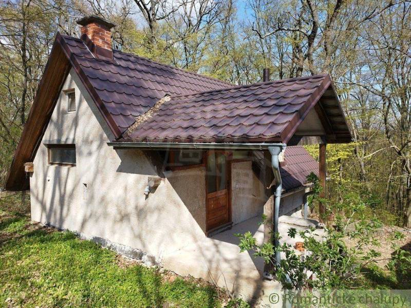 A cabin in the woods with a slanted roof and dark wooden doors.