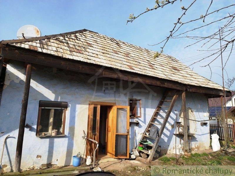 An old house with a wooden roof and an improvised ladder in the countryside.