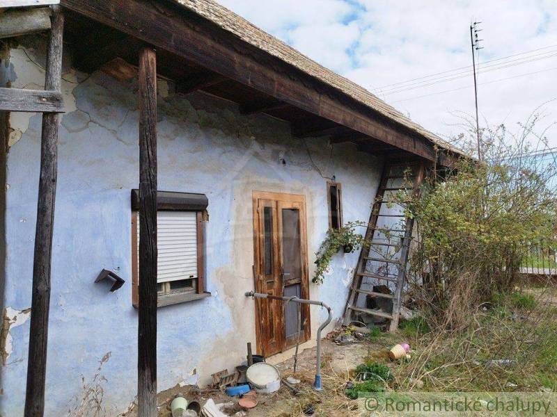 An old cottage with a dilapidated facade and a ladder, surrounded by greenery and flowers.
