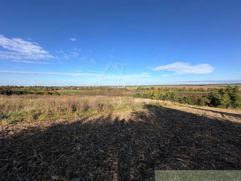 A picturesque panoramic view of agricultural and forest lands under a blue sky.
