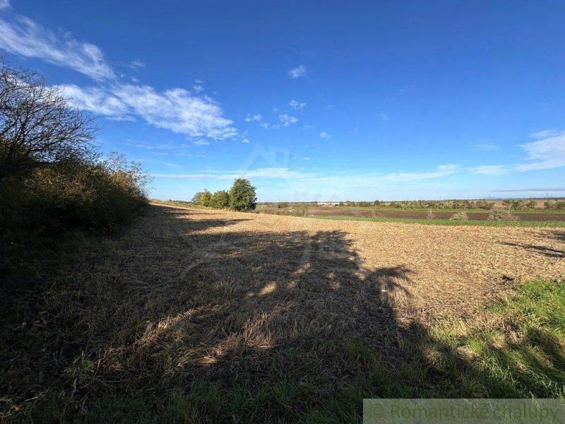 Agricultural and forest lands: a view of a fertile field under a clear sky.
