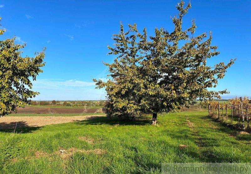 A landscape with agricultural and forest lands, green lawn, and blue sky.