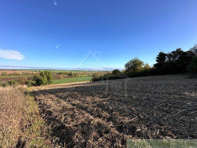 A plowed field with a view, surrounding trees. Agricultural and forest lands in the distance.