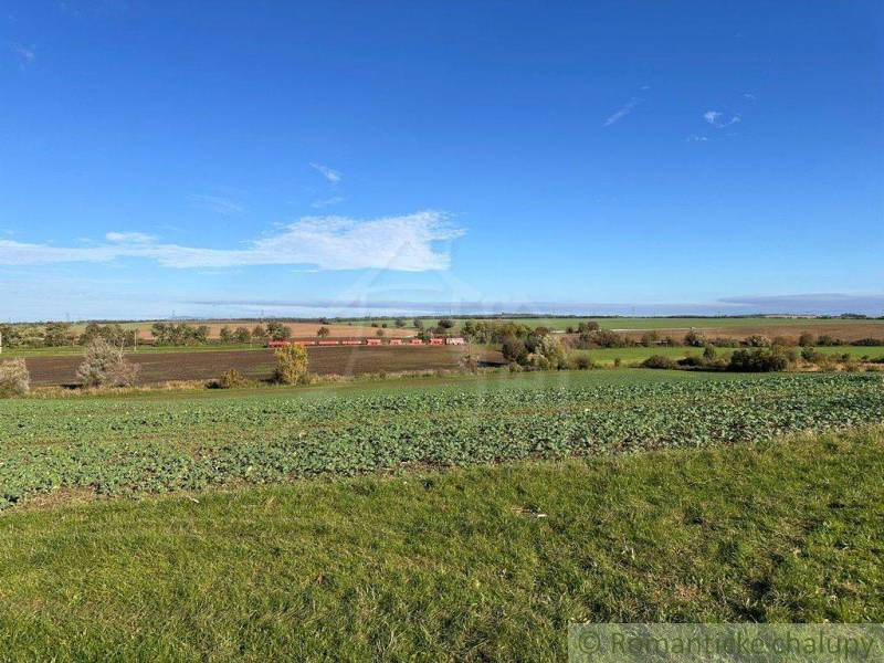 A panorama of the landscape with agricultural lands and forest areas under a clear sky.