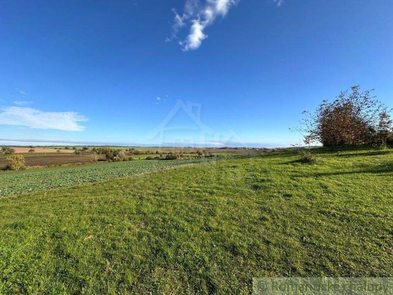 Extensive agricultural and forest lands with a beautiful view of the blue sky and countryside.