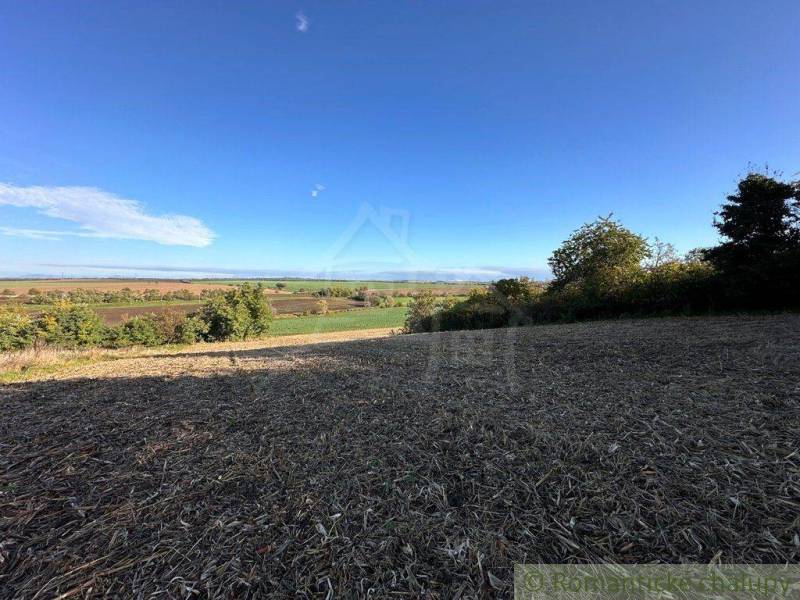 Vast agricultural and forest lands with a blue sky and a view of nature.