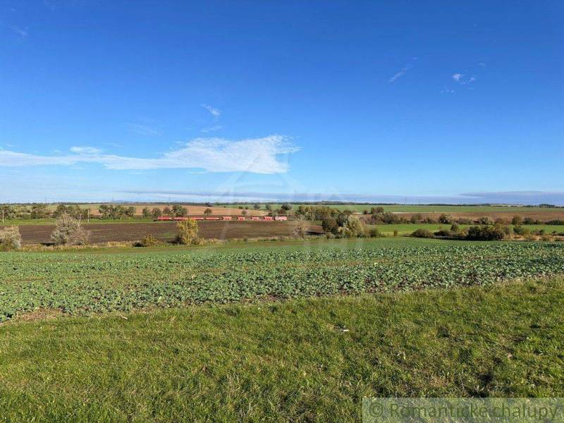 Flat agricultural and forest lands with a road, buildings, and a clear blue sky.