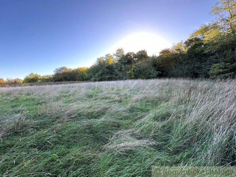 A vast meadow with grass surrounded by forest; ideal for agricultural and forestry land.