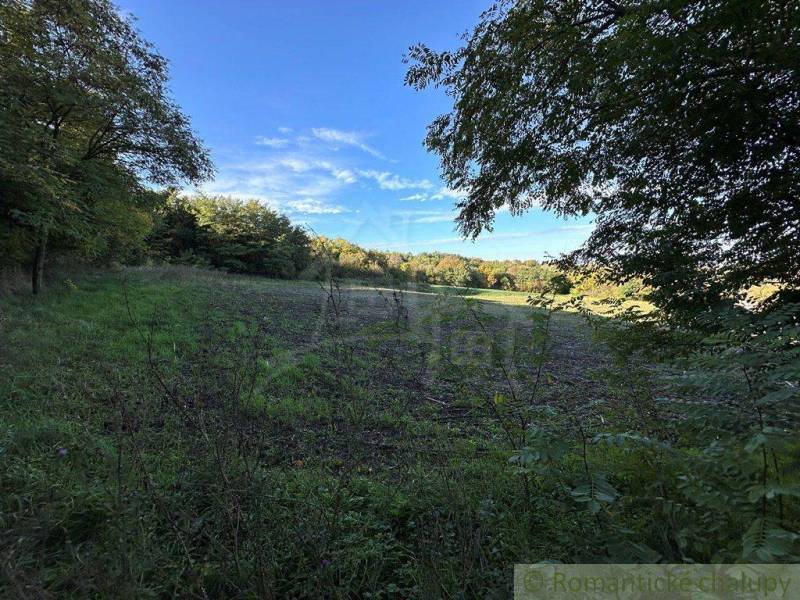 Green agricultural and forest lands with a blue sky and dense vegetation.