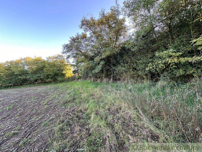 The forest boundary with agricultural land, trees, and grass forms a natural barrier.