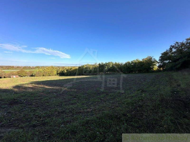 Vast agricultural lands with views of forest areas under a blue sky.