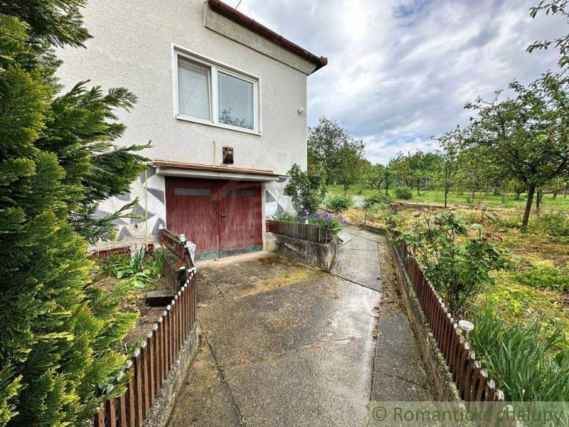 A family house with a garage, surrounded by a garden full of trees and flowers.